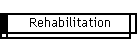 Rehabilitation